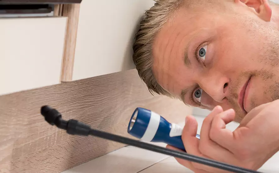 Top-Notch Pest Control in Forney