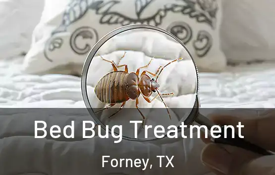  Bed Bug Treatment Forney, TX