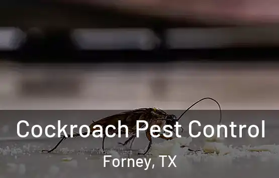  Cockroach Pest Control Forney, TX
