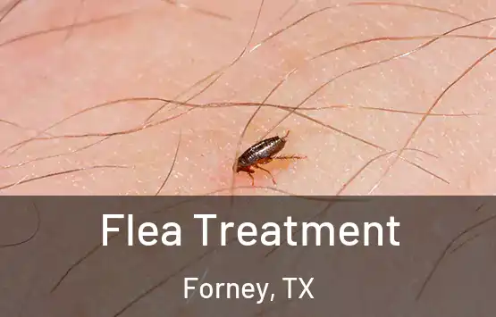  Flea Treatment Forney, TX