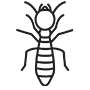 Termites Pest Control Forney, Texas