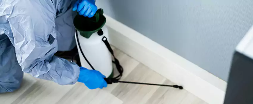 cockroach-exterminator in Forney, TX