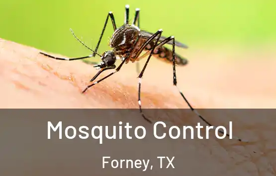  Mosquito Control Forney, TX