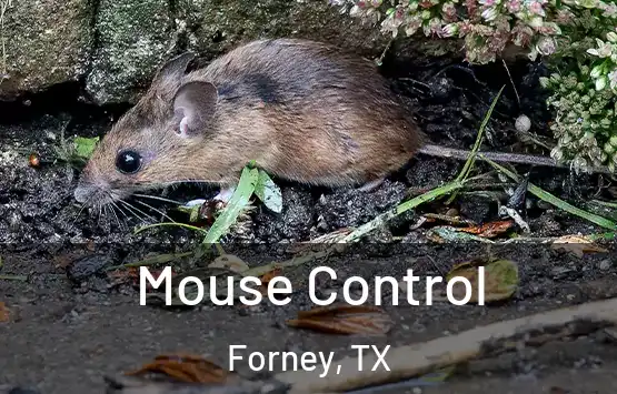  Mouse Control Forney, TX