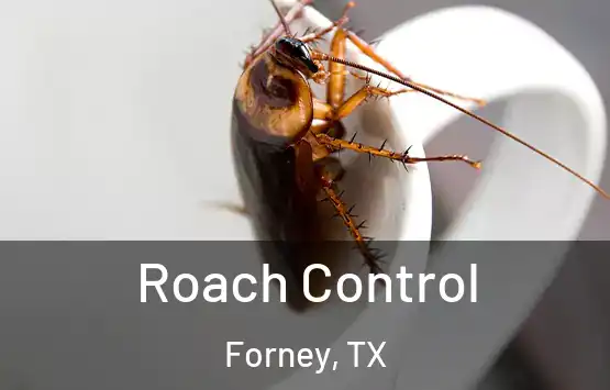  Roach Control Forney, TX