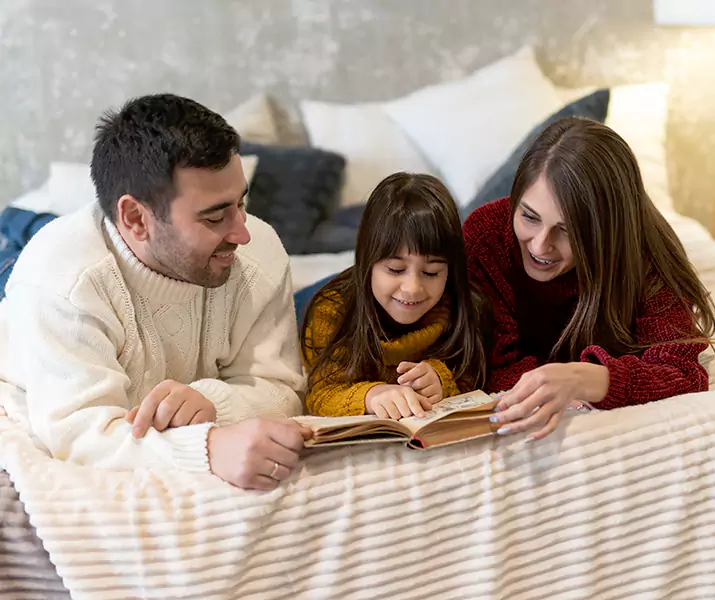 About Bed Bug Pest Control Forney