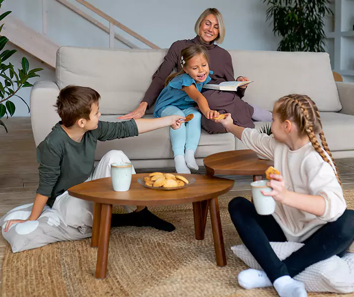 About Spider Exterminator Forney