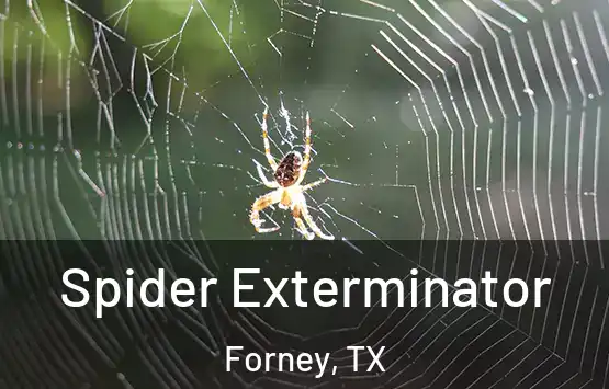  Spider Exterminator Forney, TX