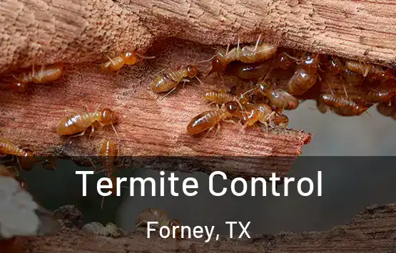  Termite Control Forney, TX