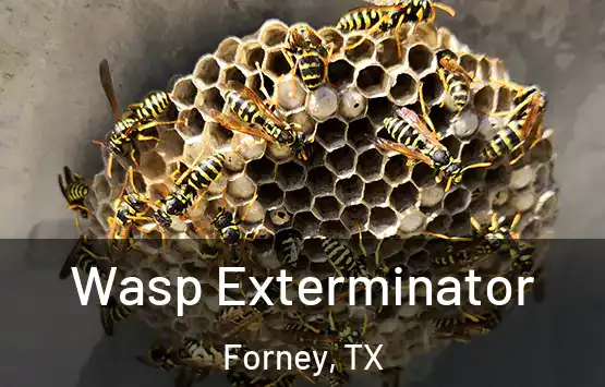  Wasp Exterminator Forney, TX
