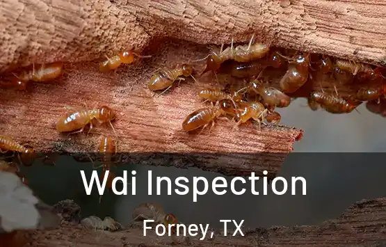  Wdi Inspection Forney, TX
